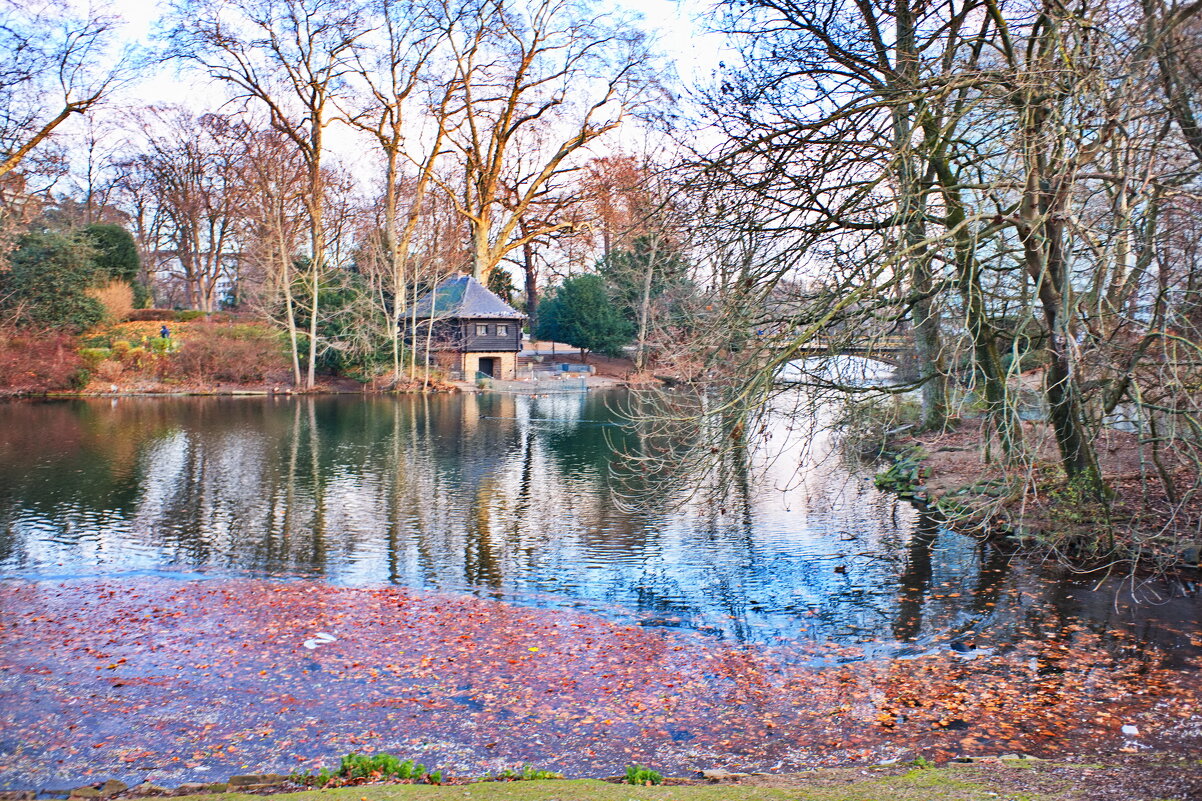 *** - Witalij Löwin