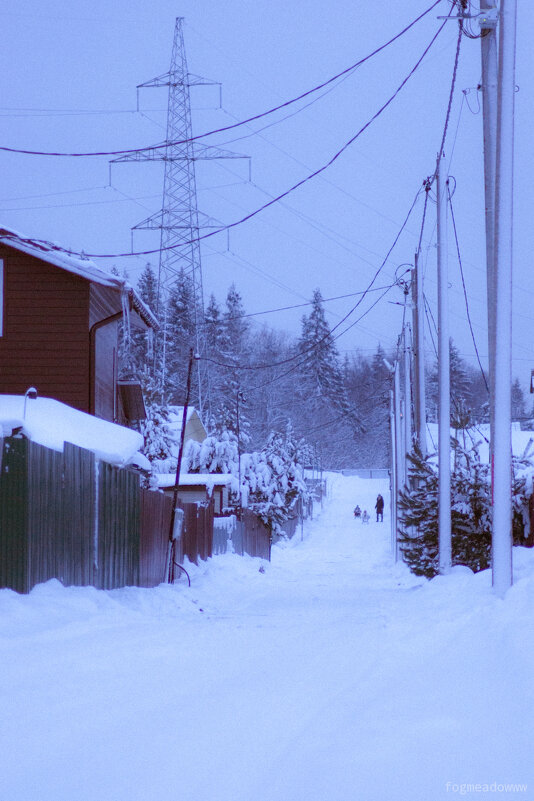 Клинские Дачи, Соголево - fogmeadowww m