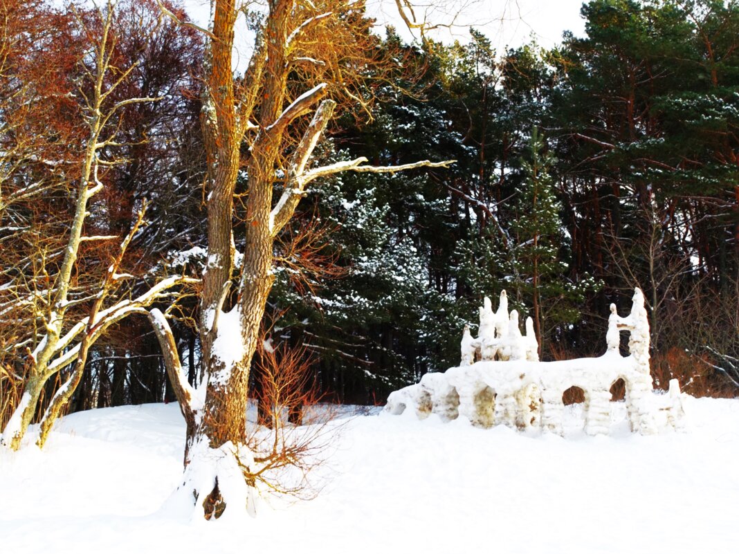 На берегу Таллинского залива - Aida10 