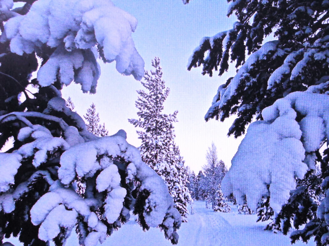 Хорошо засыпал снег - Людмила Смородинская