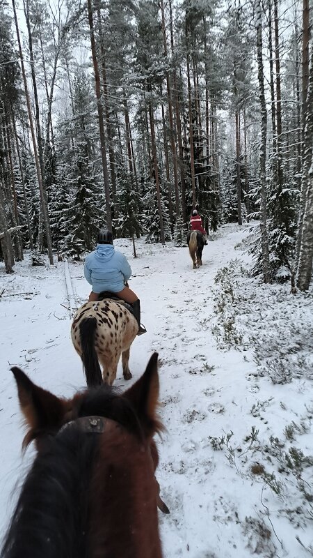 Зимняя прогулка. - Ольга 