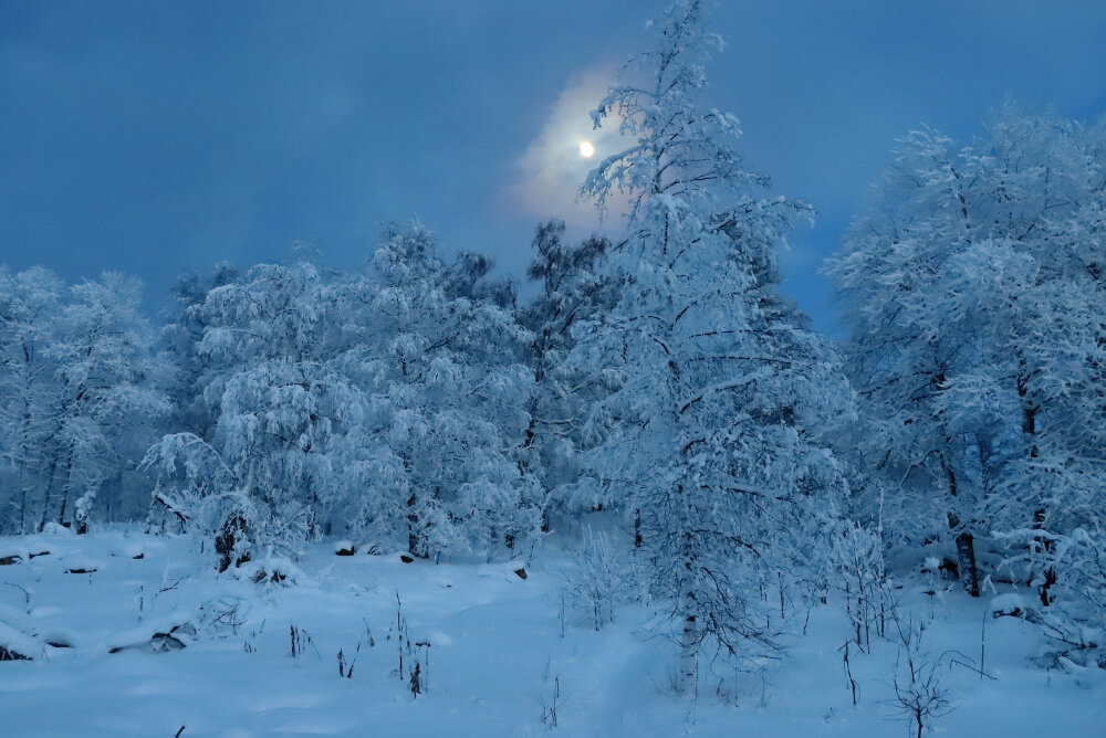 Лунная мелодия вечера - Галина Ильясова