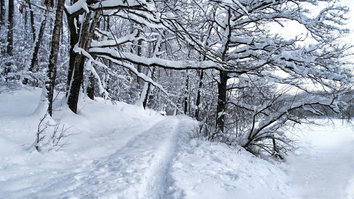 Снежная зима. - Милешкин Владимир Алексеевич 