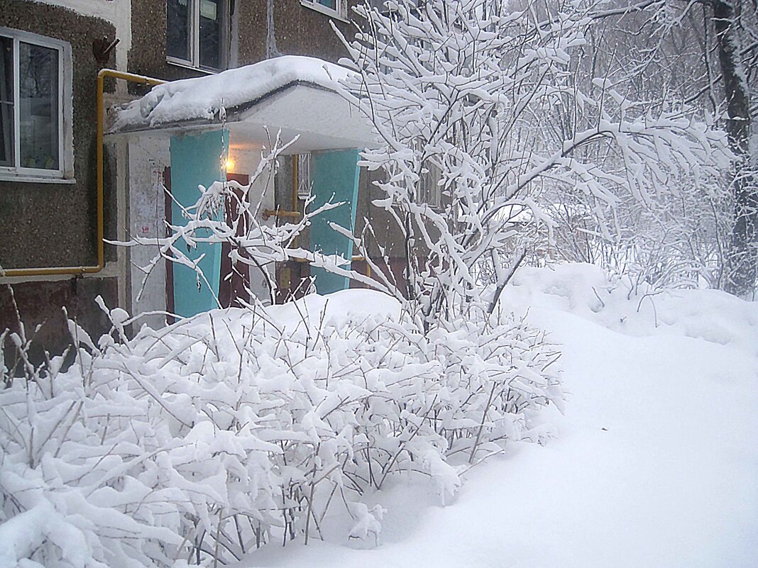 Замело - Елена Семигина