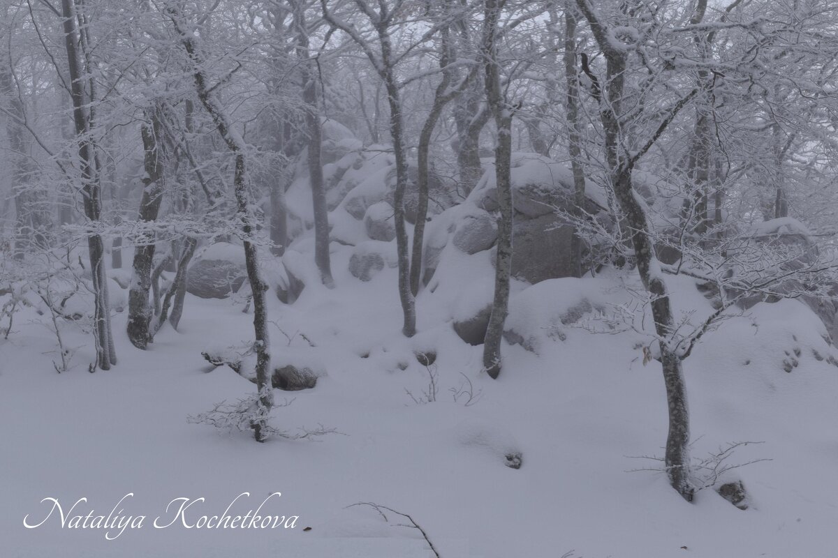 Природа Крыма - Amazing Cosmea