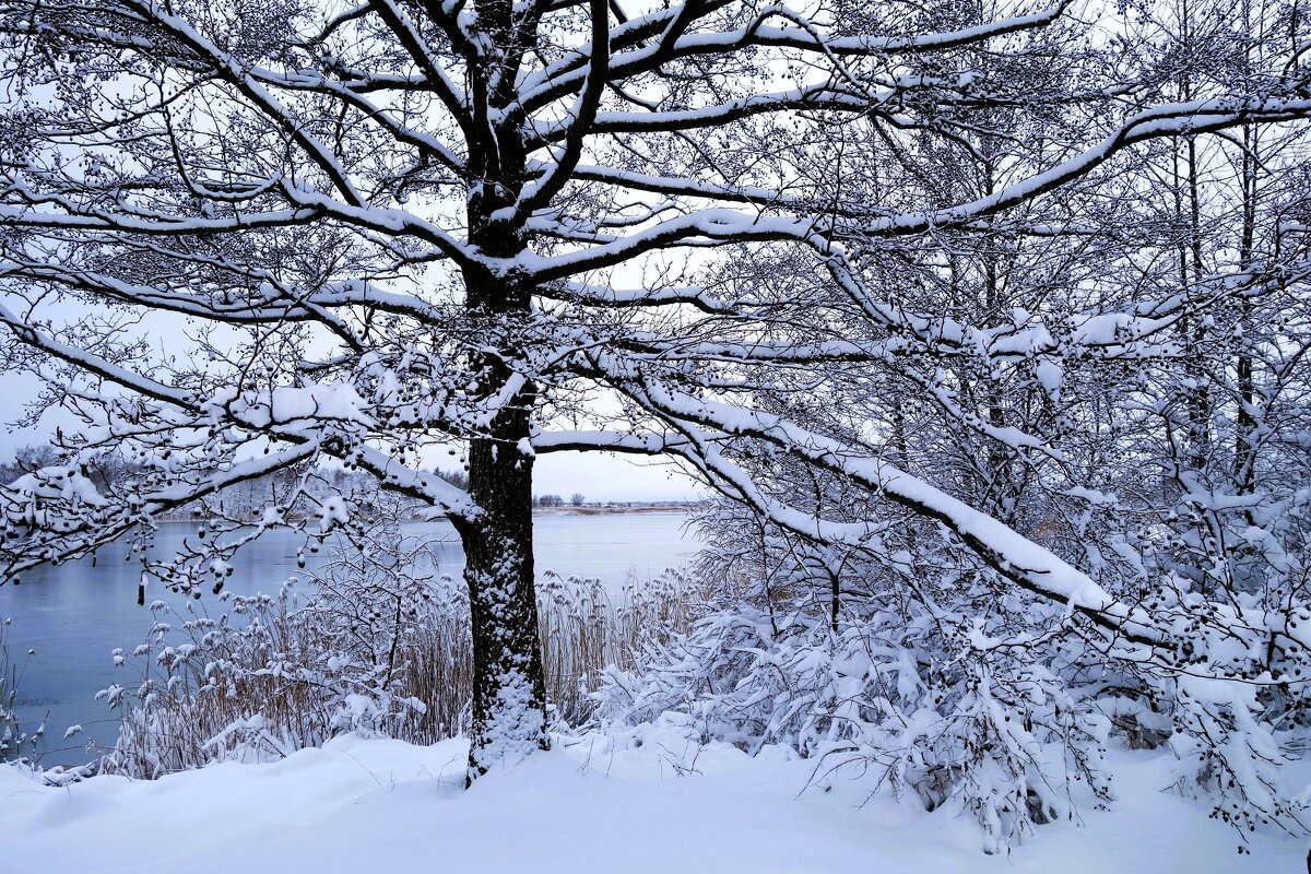 В окрестностях Калининграда - Рита Симонова