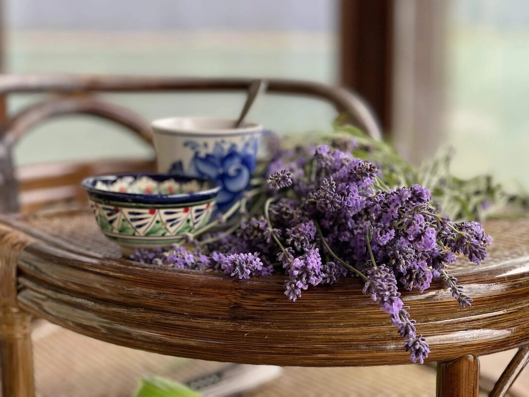 лавандовое утро - Лена -