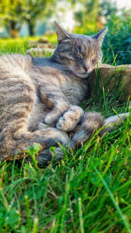 Милота - Оксана Н.