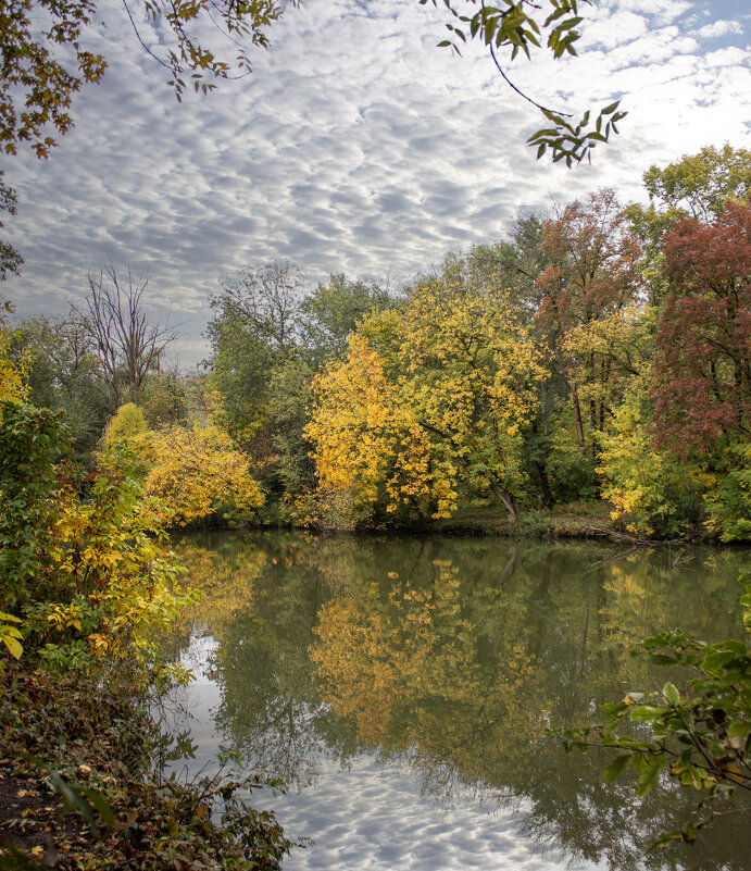 Осень. - Александр. AVG100 ---