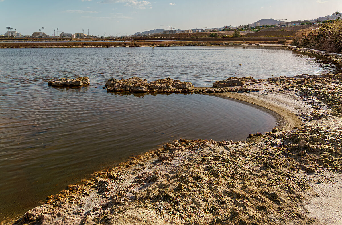 Мелководье - Eugene * Мелководье - Eugene *