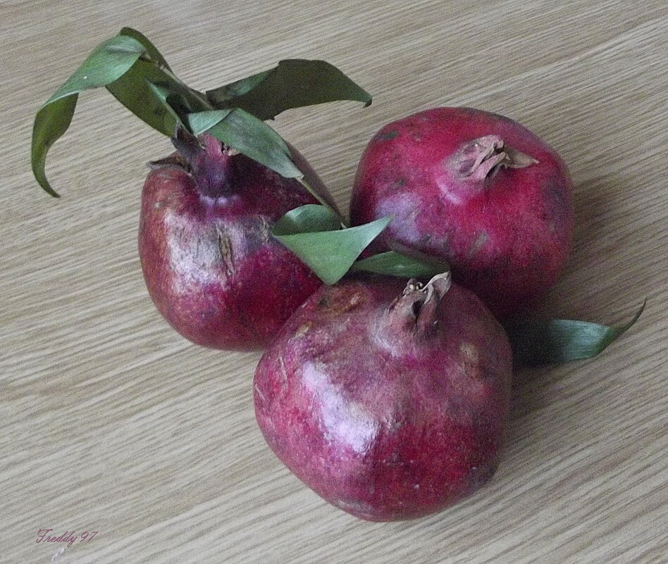 Принимайте витамины... - Freddy 97