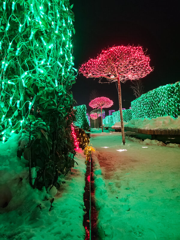 волшебные деревья - Ольга Косачова волшебные деревья - Ольга Косачова