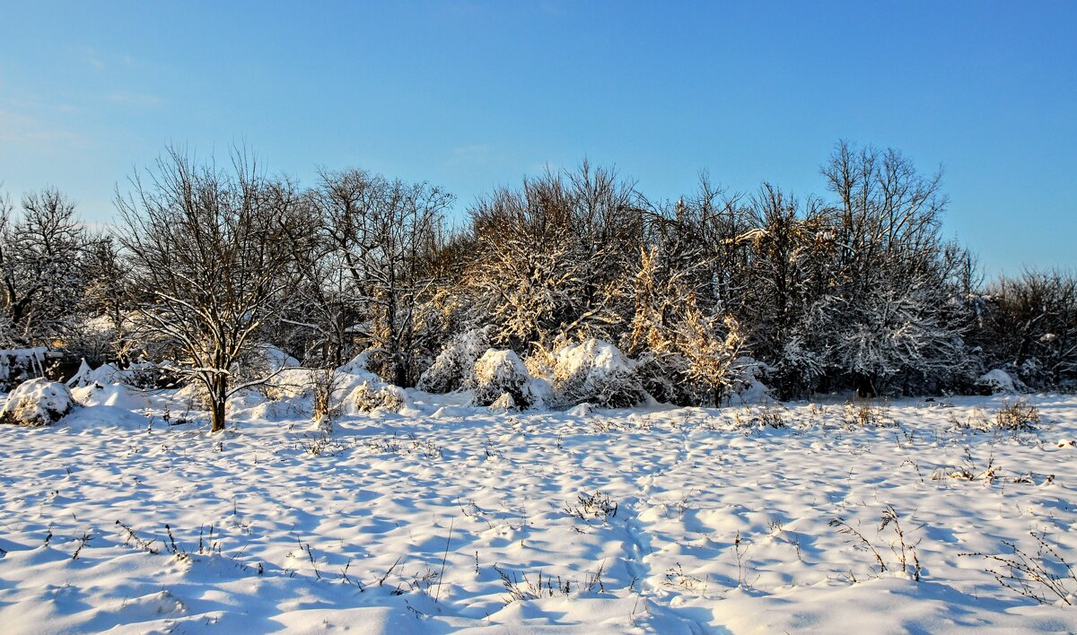 Январь. - Владимир Январь. - Владимир