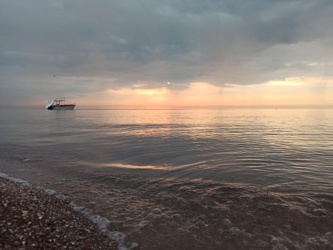 Азовская чайка - Виктория Журавлева