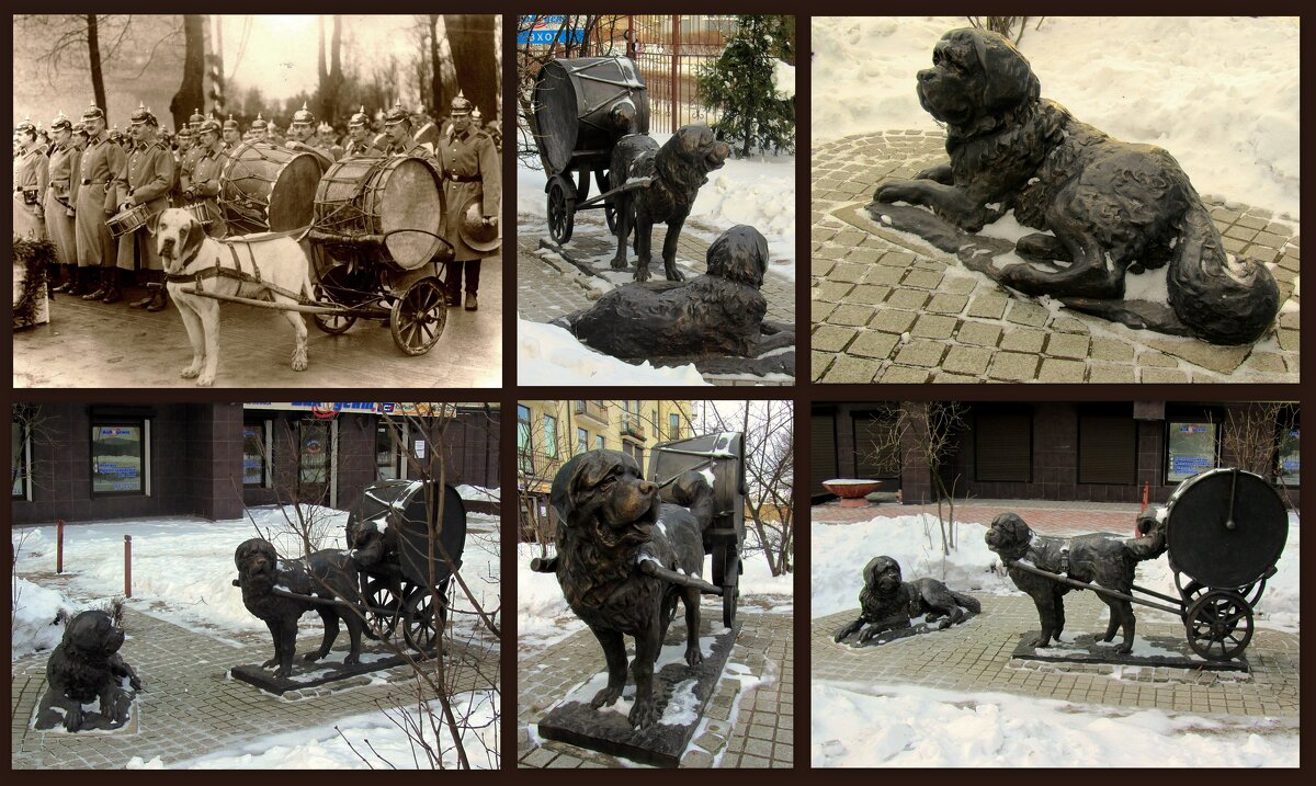 Барабанные собаки - Сергей Карачин