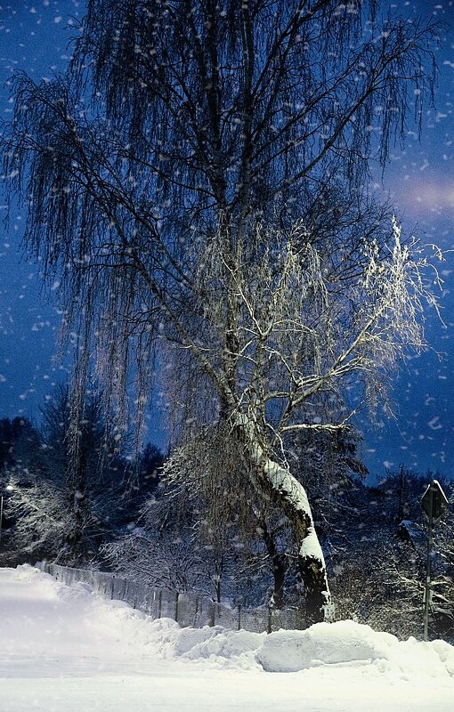 Времена года - Vlaimir 