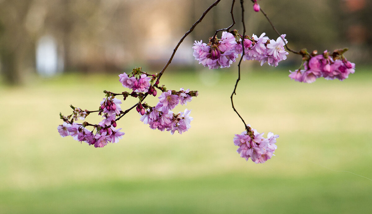 Времена года - Vlaimir 