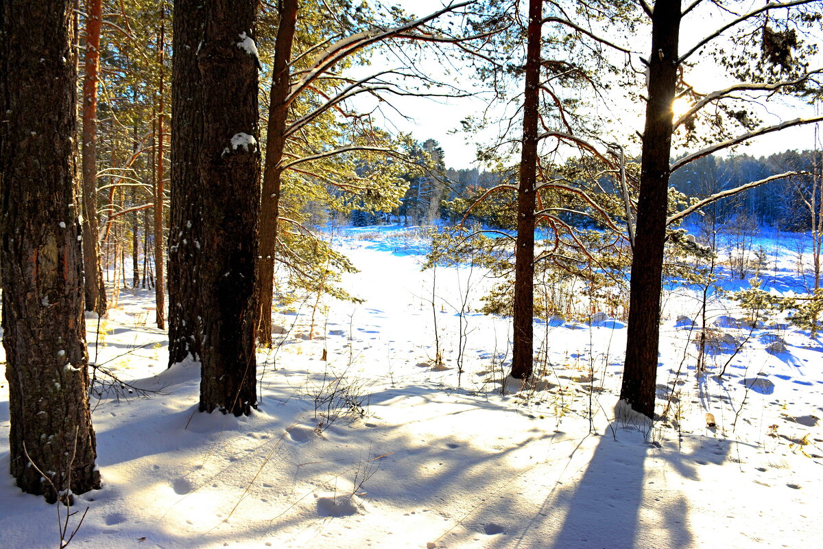 *** - Александр 