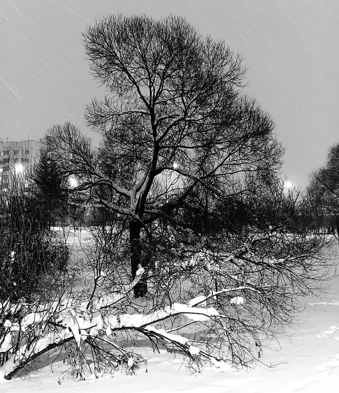 По дороге к дому. - Василий Палий По дороге к дому. - Василий Палий