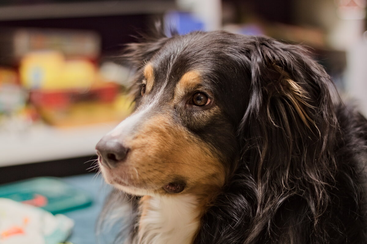 Портрет любимчика - Артём 