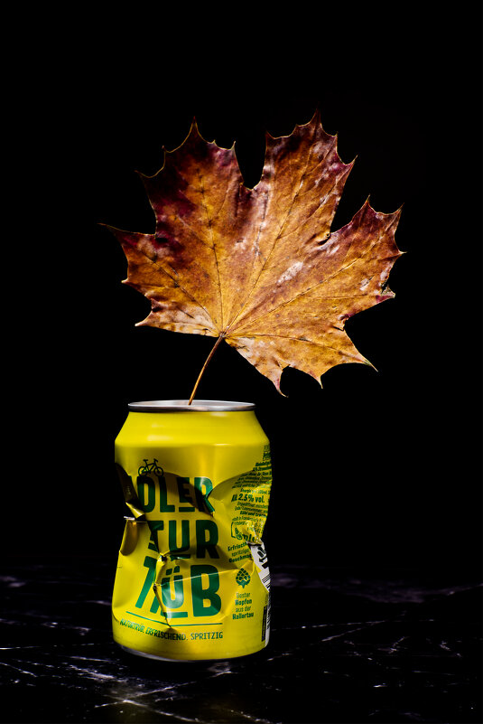 (°-°) - Jakob Dick