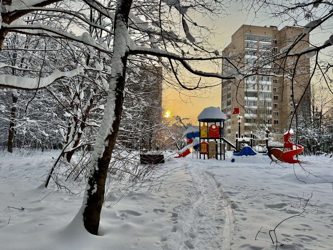 Редкое зимнее солнышко. - Любовь 