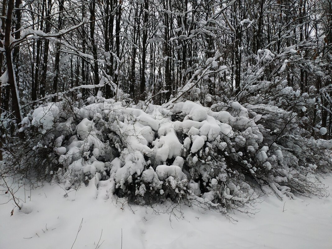 Сезон нецветной фотографии продолжается - Андрей Лукьянов Сезон нецветной фотографии продолжается - Андрей Лукьянов