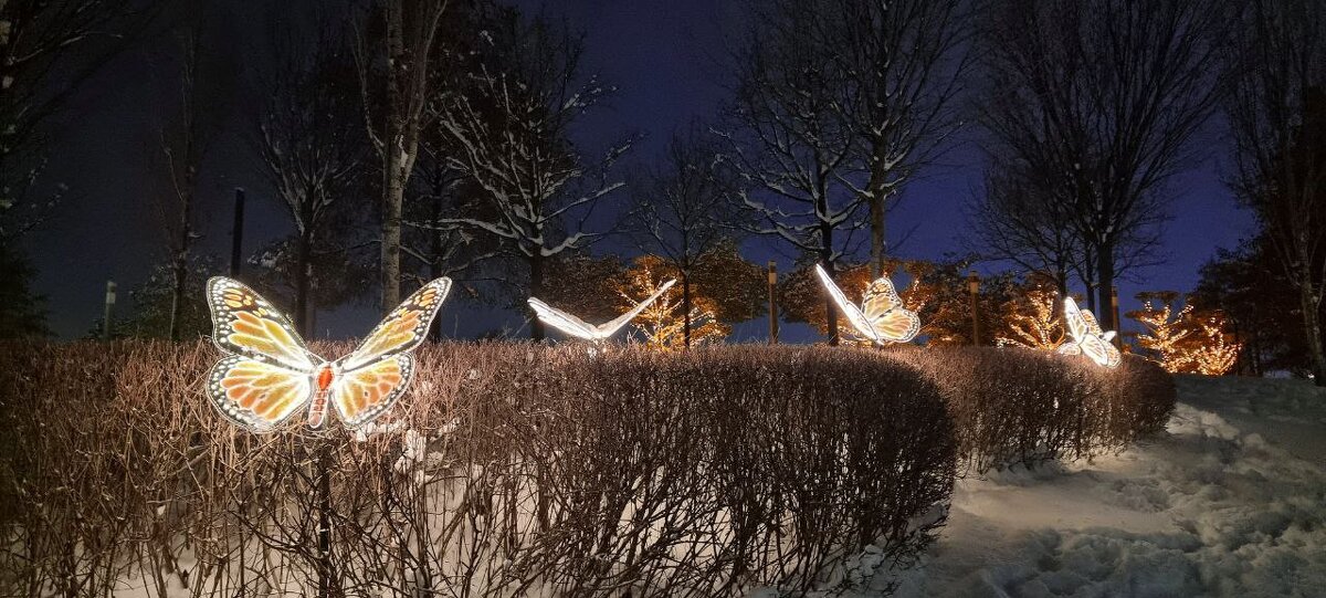 Парк Краснодар (Галицкого), январь 2026. - Екатерина Леш