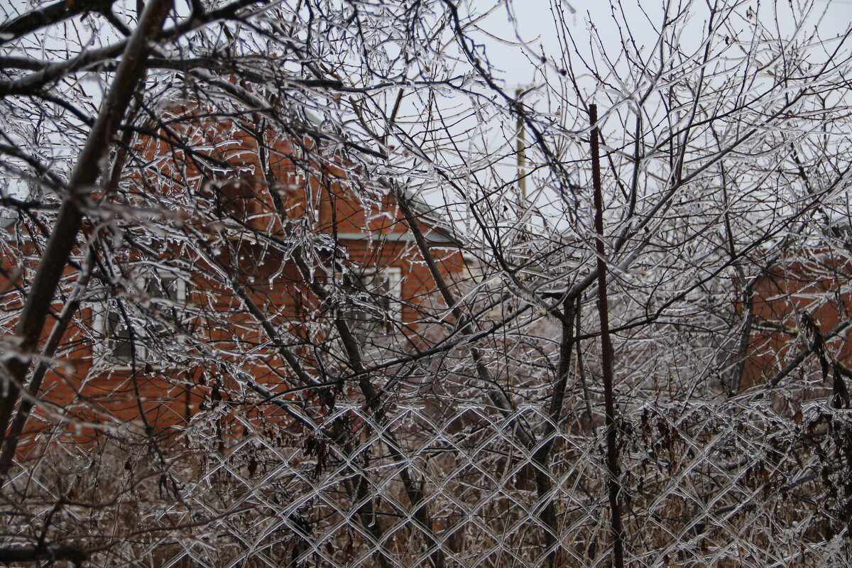 Ледяное царство - Екатерина Леш
