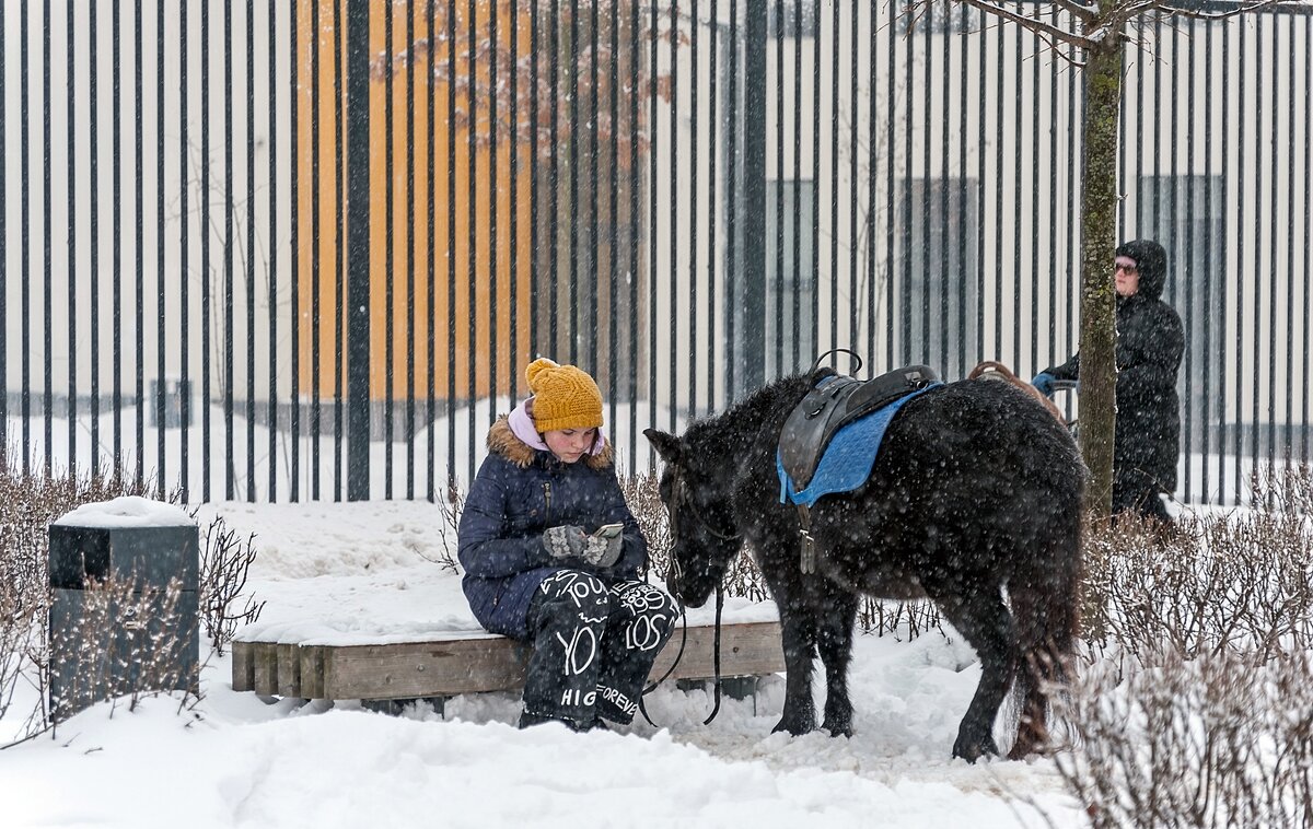 Нет желающих покататься на пони - Валерий Иванович