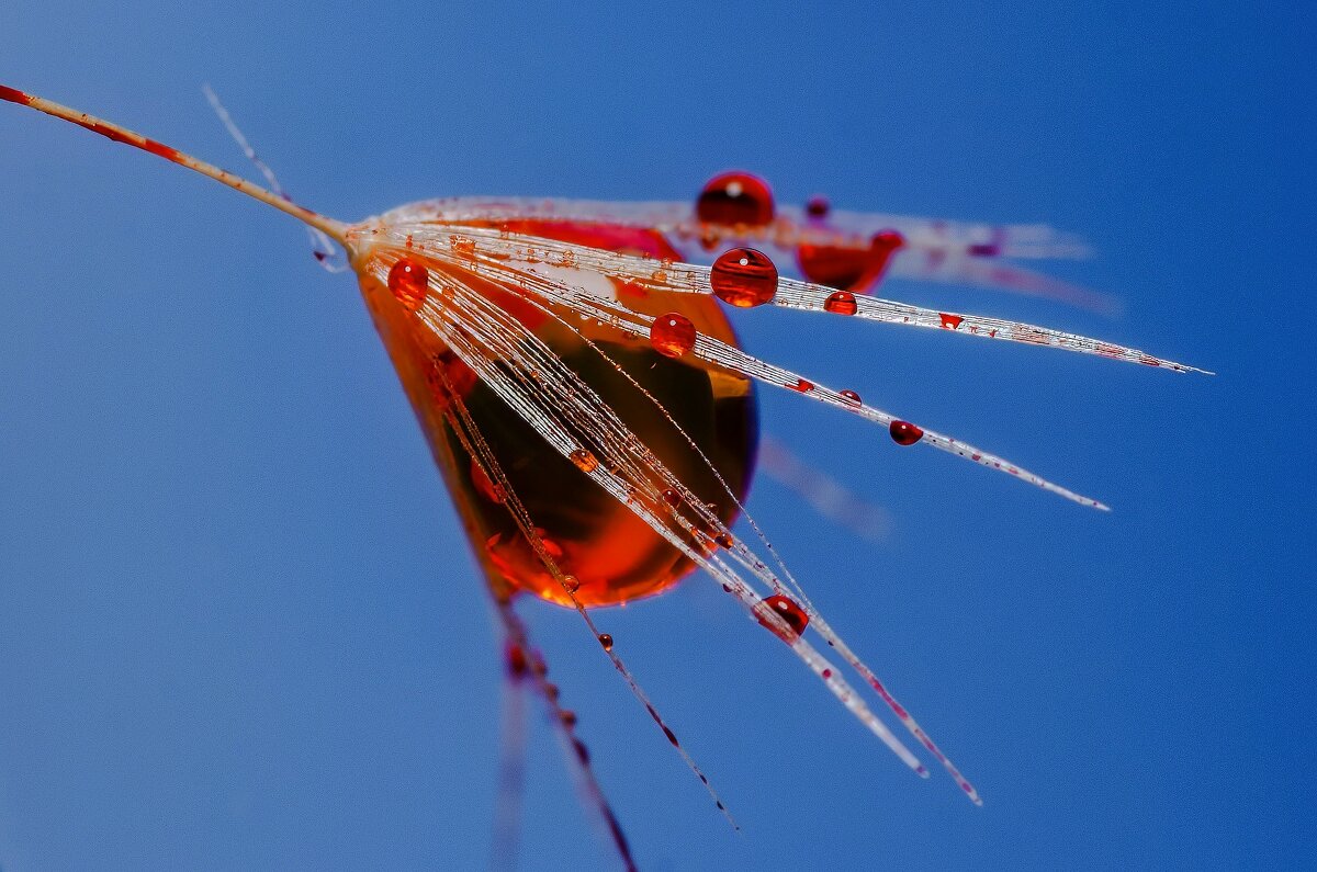 *** - Виктор Иванович Чернюк