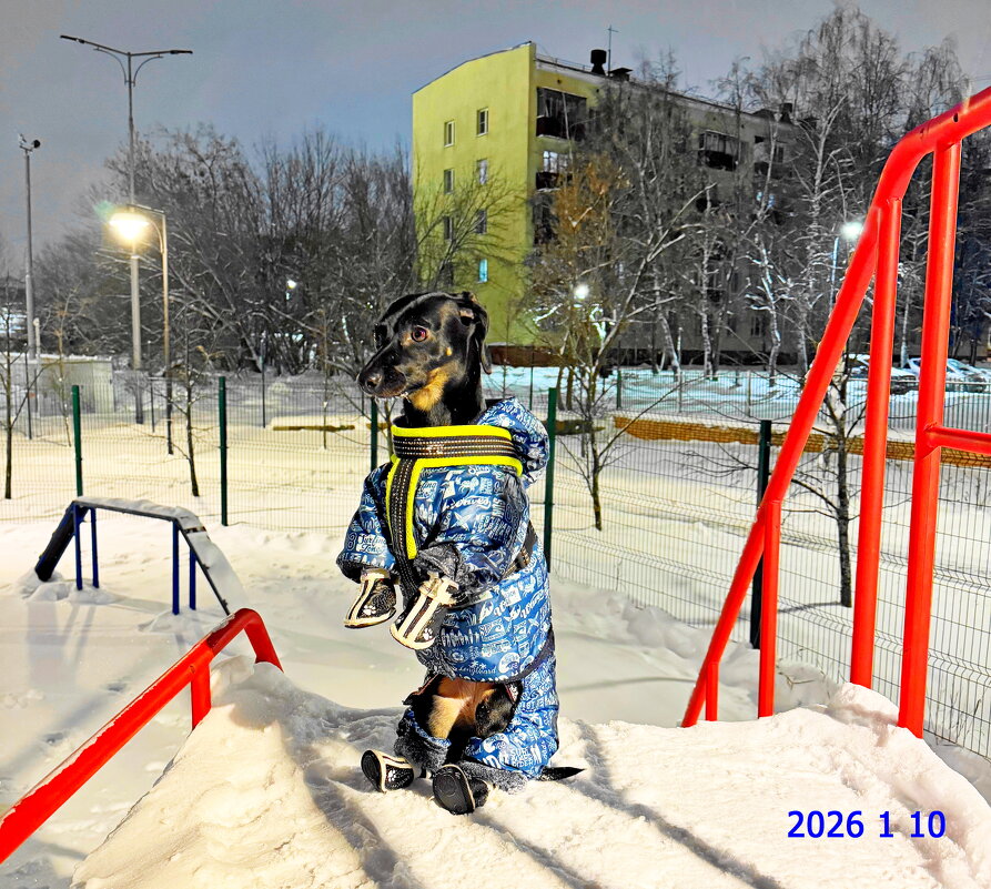 Сидеть ! - Александр Владимирович Никитенко