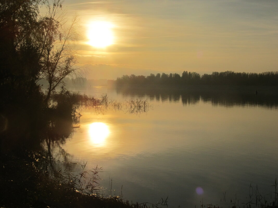 вечер на набережной - Елена Шаламова