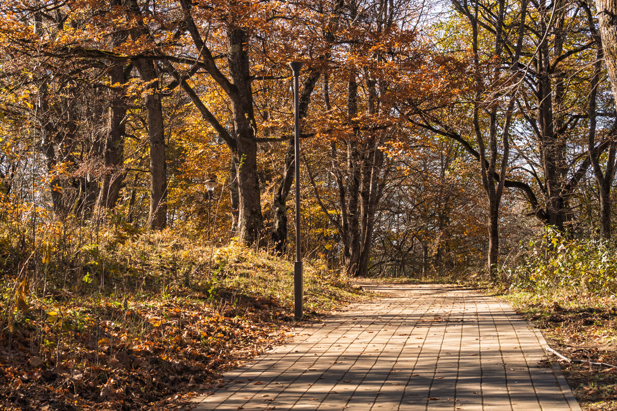 Осень в Адыгее - Игорь Сикорский Осень в Адыгее - Игорь Сикорский