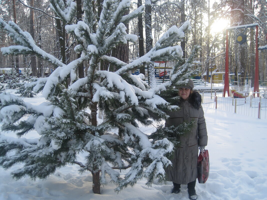 Когда- то зимой - Елена Семигина Когда- то зимой - Елена Семигина