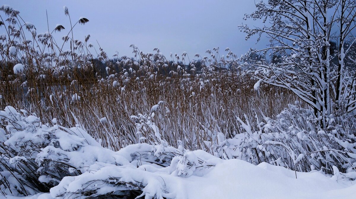 В окрестностях Калининграда - Рита Симонова