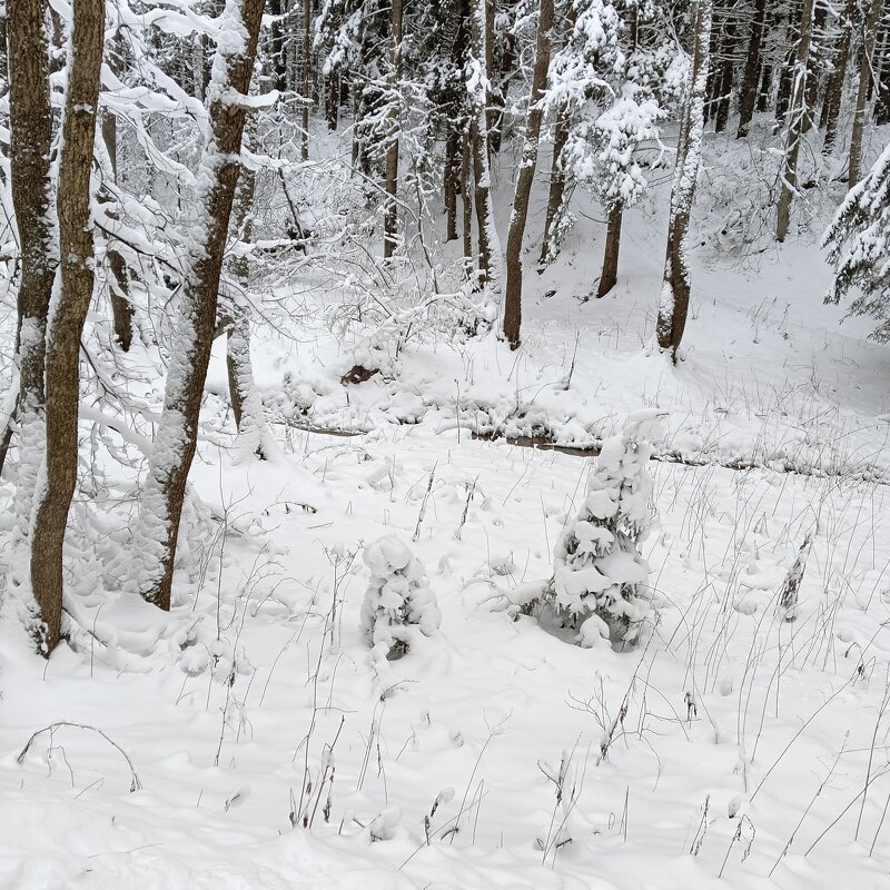 ручей - Владимир 