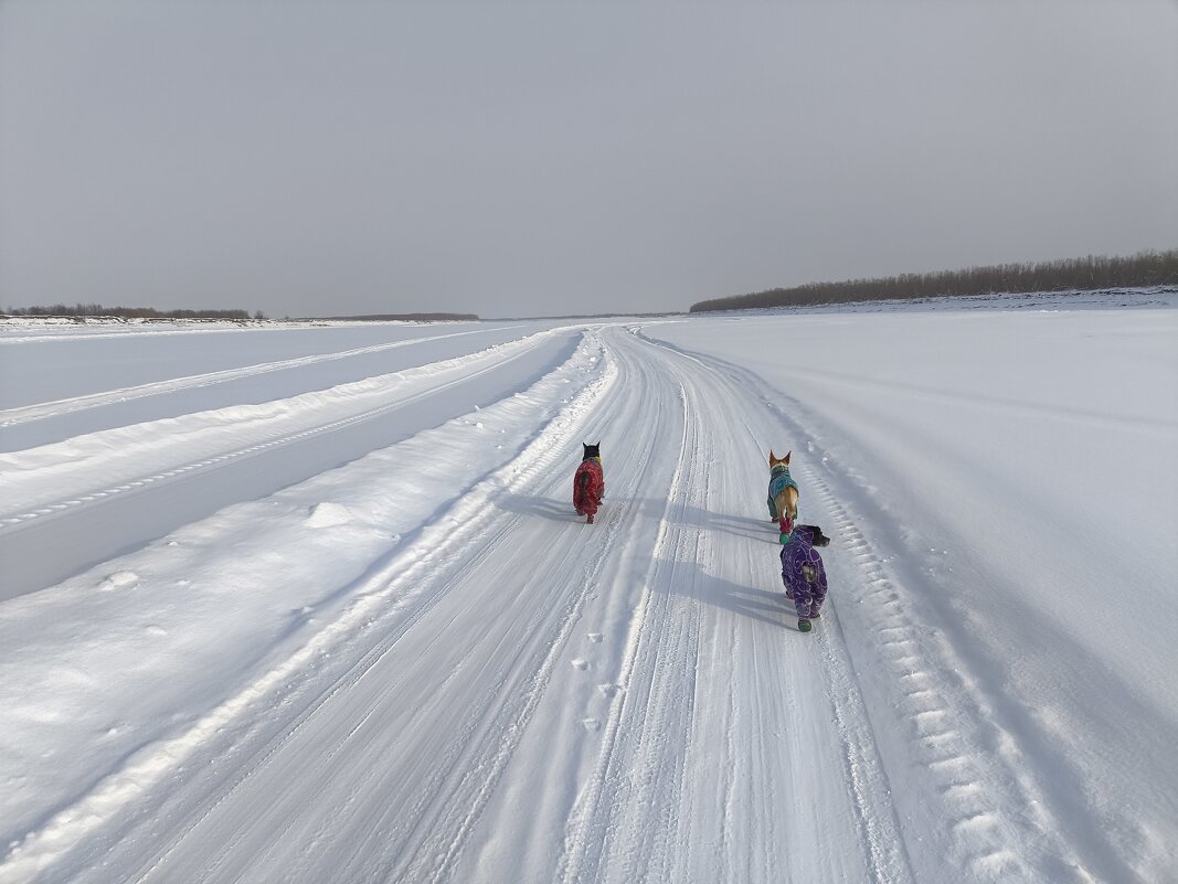 Прогулка - Anna Ivanova