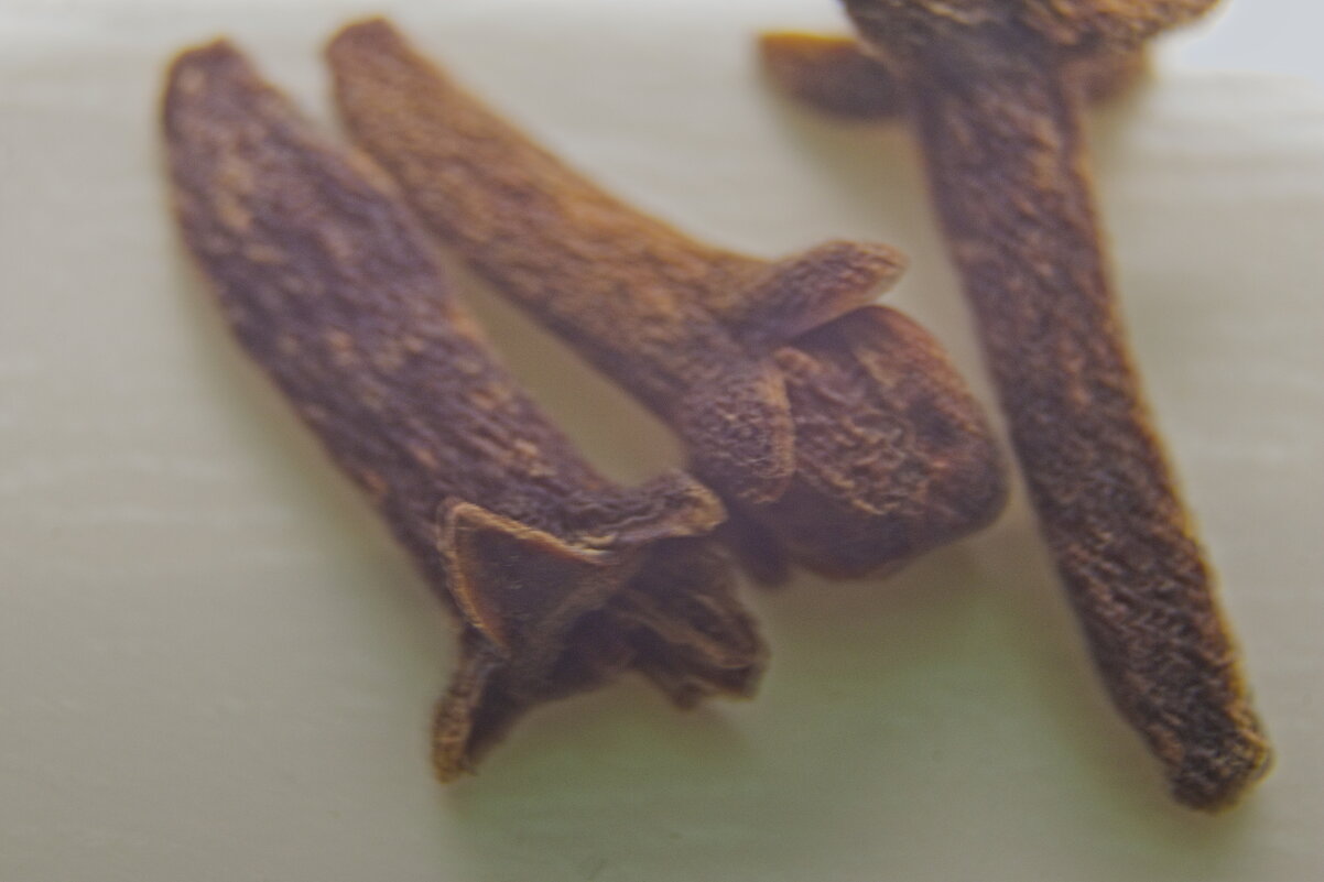 три гвоздички - Giant Tao /