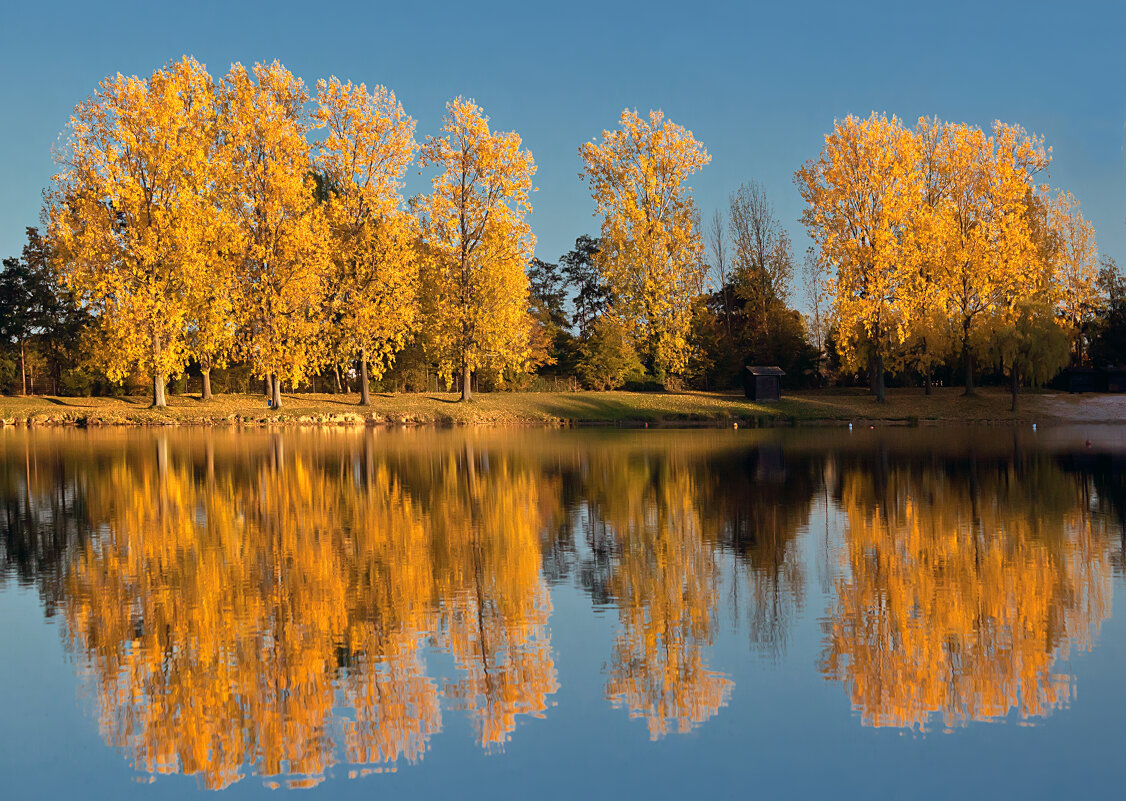 Золото осени - Valziwa 