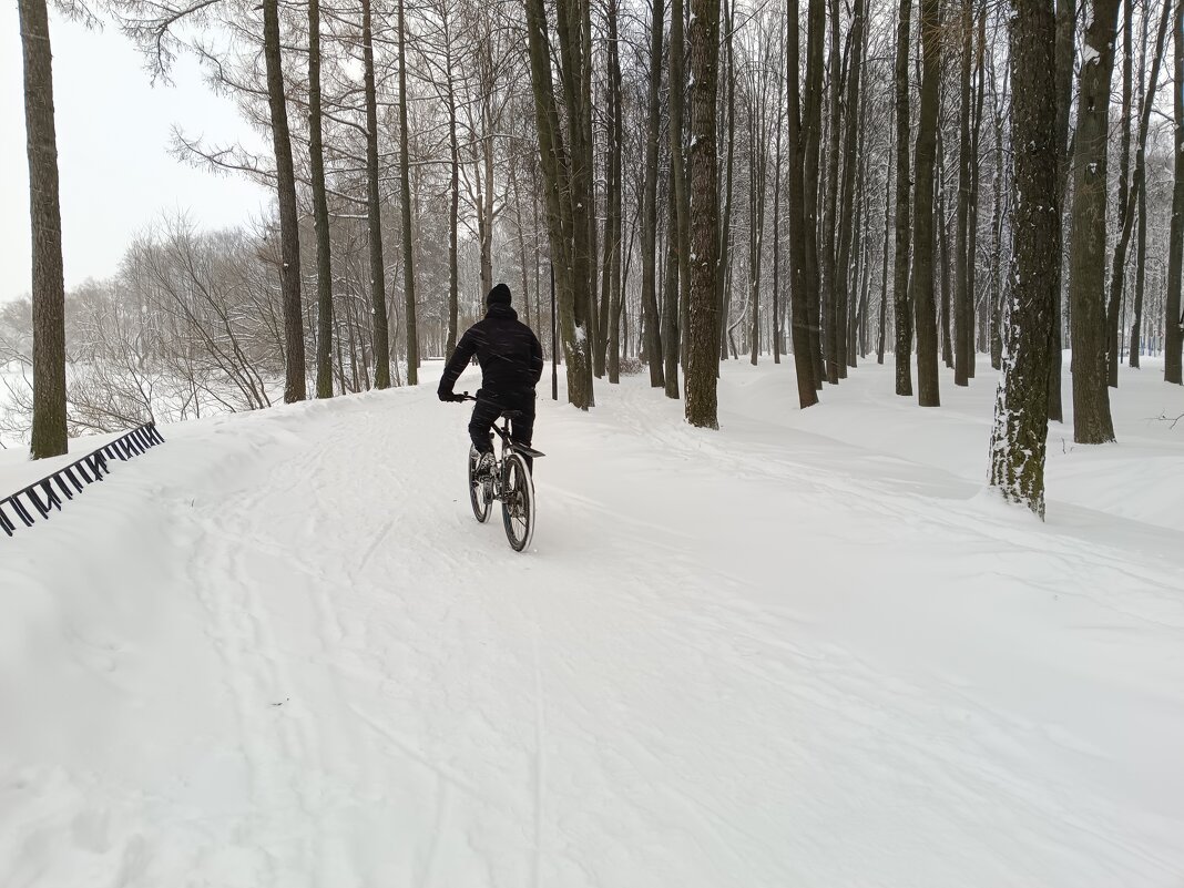 Январские покатушки - Мария Васильева