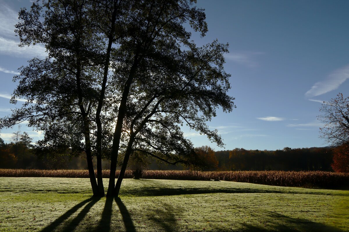 Утро - Юрий. Шмаков