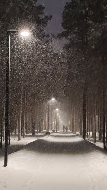 Снегопад - nika555nika Ирина