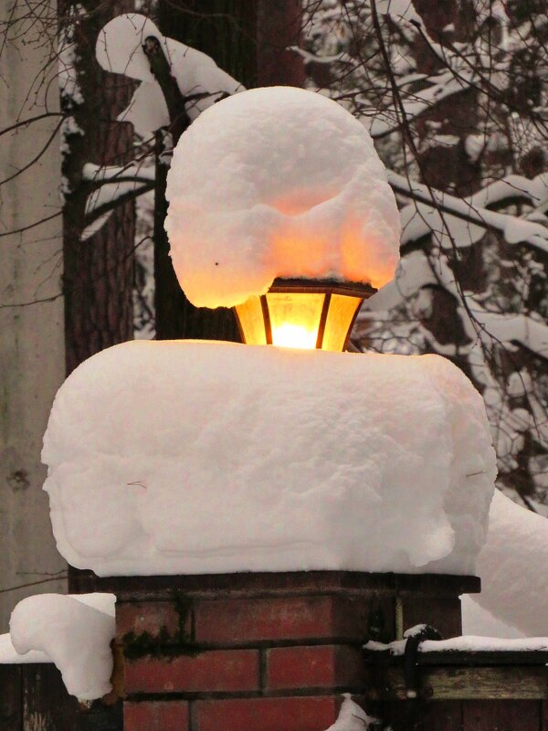 Светит среди снега - Андрей Снегерёв