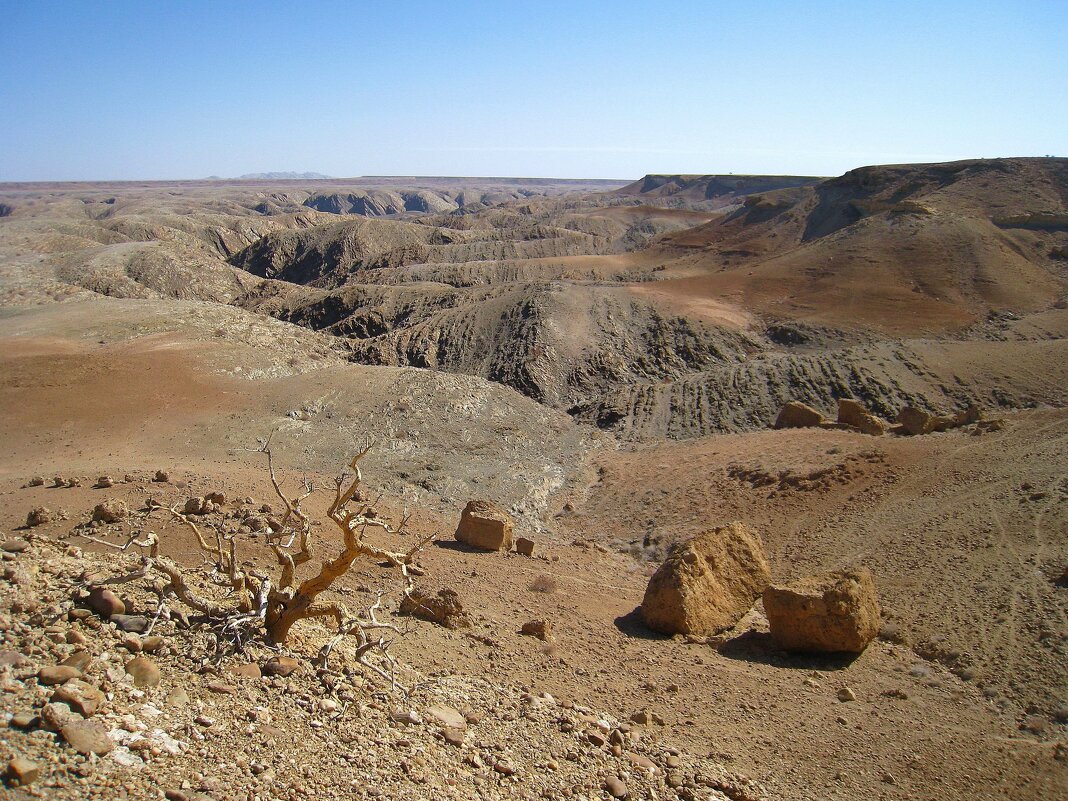 Кусочек Намибии. - unix (Илья Утропов)