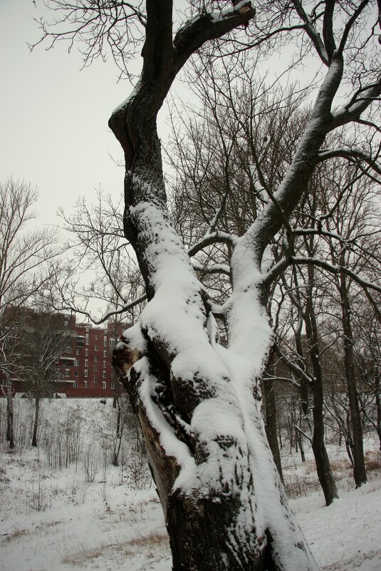 Январь - Наталья Герасимова