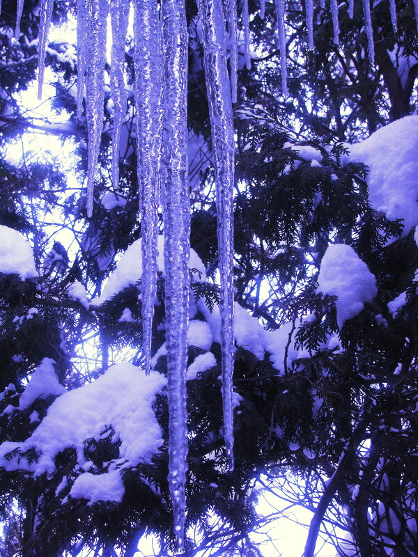 За окном - Людмила Смородинская