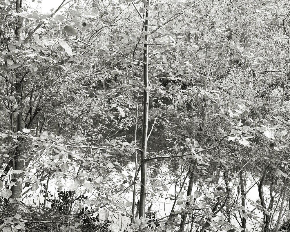 Фотография - Денис Безногов