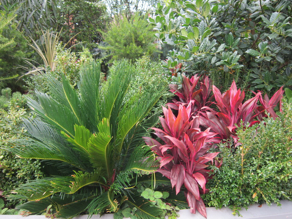 Лето в Москве - Дмитрий Никитин