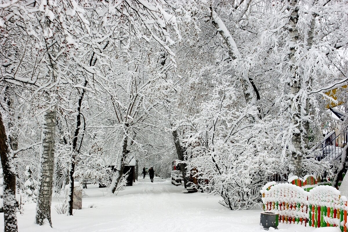 В Центральном парке - Галина Нестратова